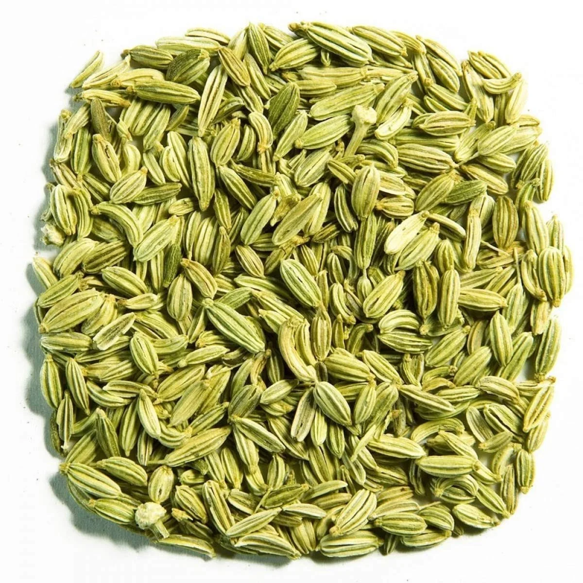 Souf, sonf, soof | Fennel Seeds |Saunf Moti | Moti Sonf | Big Whole   250gm