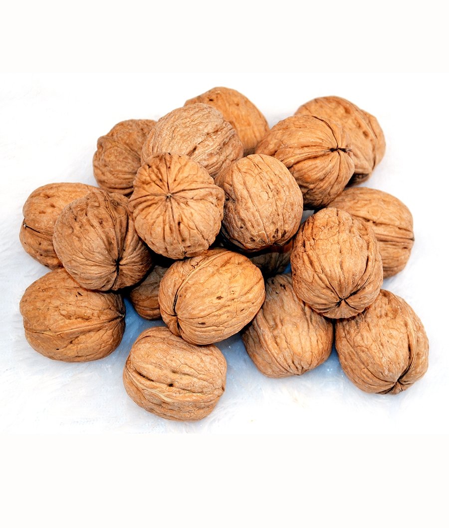 Kashmiri InShell Walnuts Jumbo size | Akhrot sabut, akhrot saboot With Shell Akhrot Dry Fruit | Whole Wallnut | Sabut Akhrot 250g