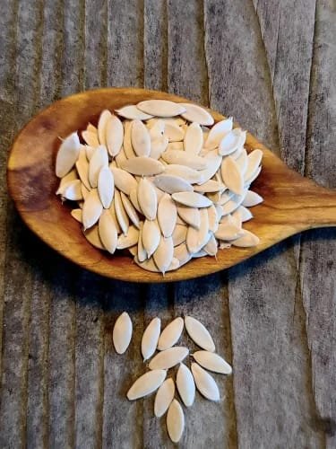 Muskmelon Seeds | kharbuja migi bij bija kharbuj meegi, migi | Kharbooja Beej | Seeds for Eating | 250gm